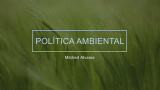 POLÍTICA AMBIENTAL
Mildred Alvarez
 