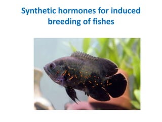 Synthetic hormones for induced
breeding of fishes
 