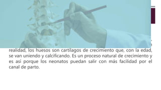 ¿SABÍAS QUE…
…el esqueleto de un/a adulto/a está formado por 206 huesos pero,
en cambio, el de un/a recién nacido/a está formado por casi 300? En
realidad, los huesos son cartílagos de crecimiento que, con la edad,
se van uniendo y calcificando. Es un proceso natural de crecimiento y
es así porque los neonatos puedan salir con más facilidad por el
canal de parto.
 