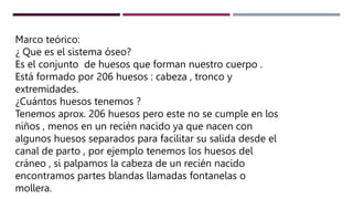Marco teórico:
¿ Que es el sistema óseo?
Es el conjunto de huesos que forman nuestro cuerpo .
Está formado por 206 huesos : cabeza , tronco y
extremidades.
¿Cuántos huesos tenemos ?
Tenemos aprox. 206 huesos pero este no se cumple en los
niños , menos en un recién nacido ya que nacen con
algunos huesos separados para facilitar su salida desde el
canal de parto , por ejemplo tenemos los huesos del
cráneo , si palpamos la cabeza de un recién nacido
encontramos partes blandas llamadas fontanelas o
mollera.
 