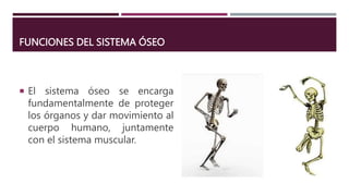 FUNCIONES DEL SISTEMA ÓSEO
 El sistema óseo se encarga
fundamentalmente de proteger
los órganos y dar movimiento al
cuerpo humano, juntamente
con el sistema muscular.
 