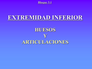 EXTREMIDAD INFERIOR
HUESOS
Y
ARTICULACIONES
Bloque 3.1
 