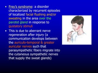 • Frey’s syndrome: a disorder
characterized by recurrent episodes
of localized facial flushing and/or
sweating in the area over the
parotid gland in response to
gustatory stimuli
• This is due to aberrant nerve
regeneration after injury (a
communication develops between
the auriculo-temporal & greater
auricular nerves such that
parasympathetic fibers migrate into
the cutaneous sympathetic nerves
that supply the sweat glands)
 