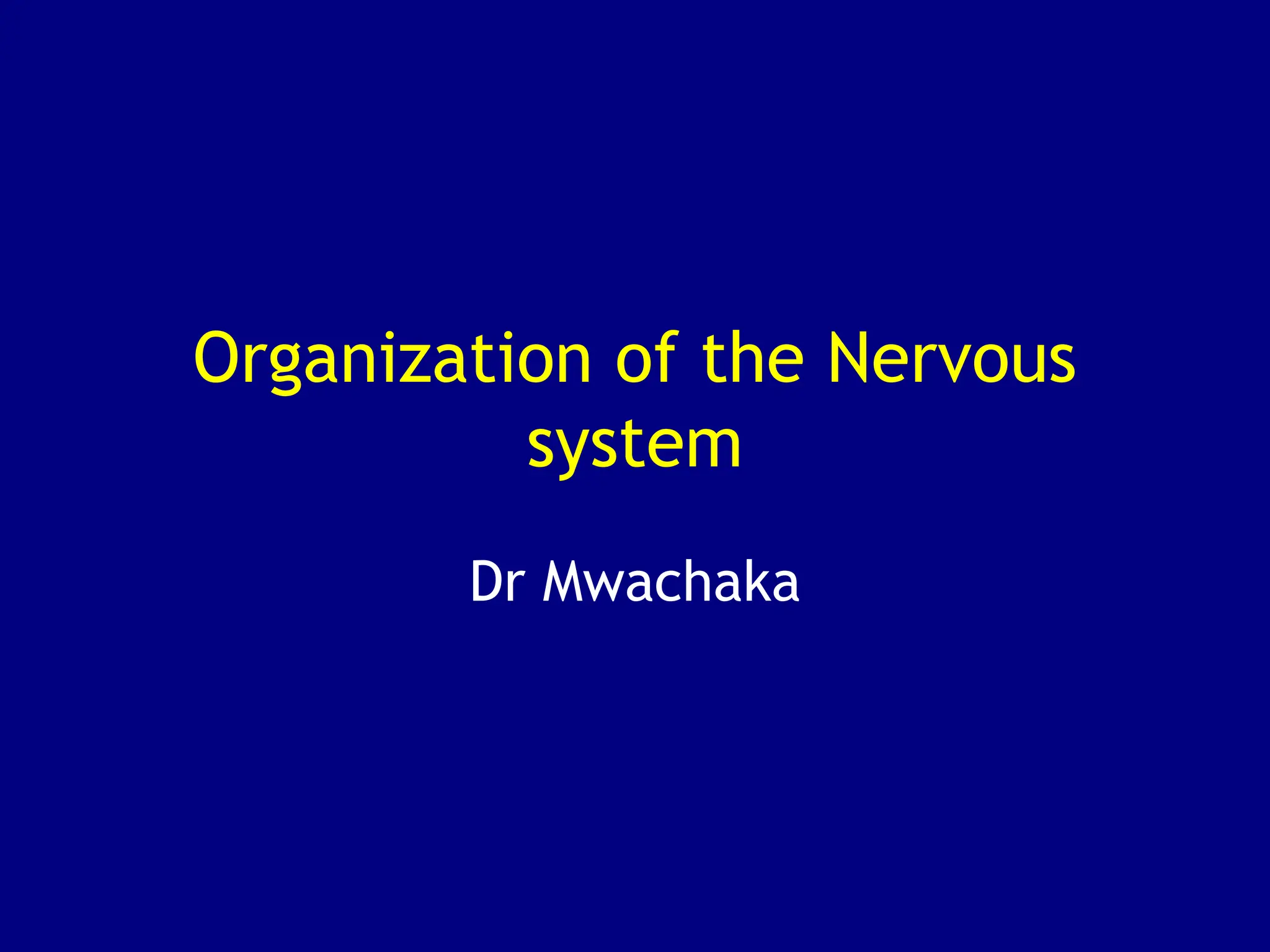 3. Organization of the Nervous system.ppt