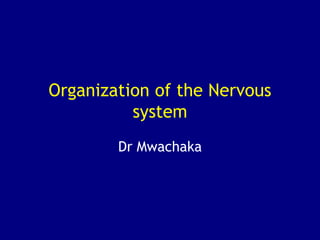 Organization of the Nervous
system
Dr Mwachaka
 