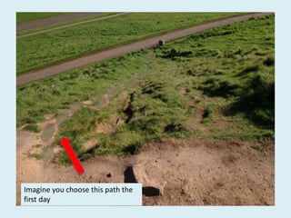 Imagine you choose this path the
first day
 