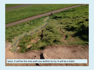 Soon, it will be the only path you bother to try. It will be a habit.
 