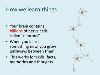 How we learn things
• Your brain contains
billions of nerve cells
called “neurons”
• When you learn
something new, you grow
pathways between them
• This works for skills, facts,
memories and thoughts
 
