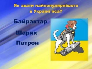 Як звати найпопулярнішого
в Україні пса?
Байрактар
Шарик
Патрон
–
 
