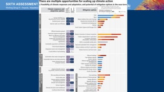 Adaptation-Mitigation Synergies and Trade-offs | PPTX