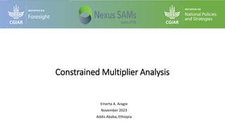 Emerta A. Aragie
November 2023
Addis Ababa, Ethiopia
Constrained Multiplier Analysis
 