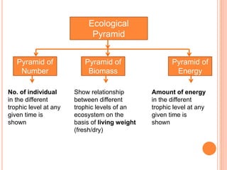 Ecological
Pyramid
Pyramid of
Number
Pyramid of
Energy
Pyramid of
Biomass
No. of individual
in the different
trophic level at any
given time is
shown
Show relationship
between different
trophic levels of an
ecosystem on the
basis of living weight
(fresh/dry)
Amount of energy
in the different
trophic level at any
given time is
shown
 