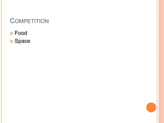 COMPETITION
 Food
 Space
 