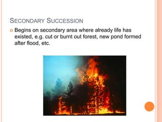 SECONDARY SUCCESSION
 Begins on secondary area where already life has
existed, e.g. cut or burnt out forest, new pond formed
after flood, etc.
 