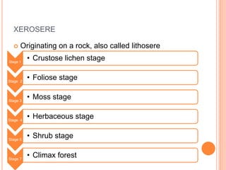 XEROSERE
 Originating on a rock, also called lithosere
Stage 1
• Crustose lichen stage
Stage 2
• Foliose stage
Stage 3
• Moss stage
Stage 4
• Herbaceous stage
Stage 5
• Shrub stage
Stage 7
• Climax forest
 