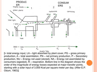 PRODUC
ER
CONSUM
ERS
[I- total energy input, LA – light absorbed by plant cover, PG – gross primary
production, A – total assimilation, PN – net primary production, P – Secondary
production, NU – Energy not used (stored), NA – Energy not assimilated by
consumers (egested), R – respiration. Bottom line in the diagram shows the
order of the magnitude of energy losses expected at major transfer points,
starting with a solar input of 3,000 Kcal per square meter per day. (After E.P.
Odum, 1963)]
 