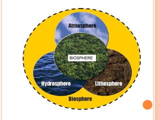 BIOSPHERE
 