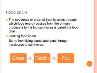 FOOD CHAIN
 The sequence or order of trophic levels through
which food energy passes from the primary
producers to the top carnivores is called the food
chain.
 Grazing food chain
- Starts from living plants and goes through
herbivores to carnivores.
Grass Rabbit Fox
 