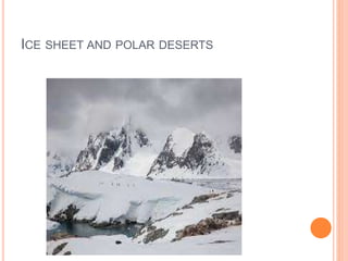 ICE SHEET AND POLAR DESERTS
 