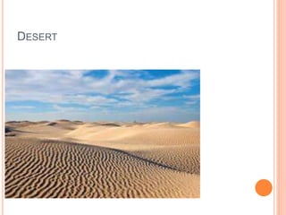 DESERT
 