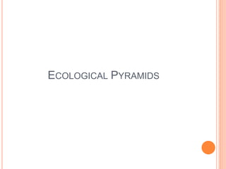 ECOLOGICAL PYRAMIDS
 