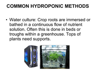 COMMON HYDROPONIC METHODS   Water culture: Crop roots are immersed or bathed in a continuous flow of nutrient solution. Often this is done in beds or troughs within a greenhouse. Tops of plants need supports.  