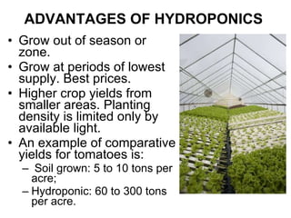 ADVANTAGES OF HYDROPONICS   Grow out of season or zone.  Grow at periods of lowest supply. Best prices. Higher crop yields from smaller areas. Planting density is limited only by available light.  An example of comparative yields for tomatoes is: Soil grown: 5 to 10 tons per acre;  Hydroponic: 60 to 300 tons per acre.  