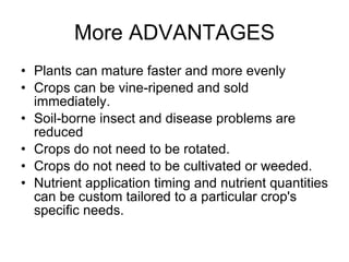 More ADVANTAGES Plants can mature faster and more evenly  Crops can be vine-ripened and sold immediately.  Soil-borne insect and disease problems are reduced  Crops do not need to be rotated.  Crops do not need to be cultivated or weeded.  Nutrient application timing and nutrient quantities can be custom tailored to a particular crop's specific needs. 