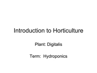 Introduction to Horticulture Plant: Digitalis Term:  Hydroponics 