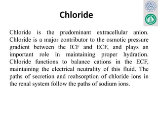 3. Renal Block-Water and Electrolyte Balance-MBBS-2024.pptx