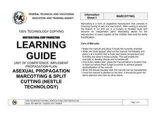 100% TECHNOLOGY COPYING –HORTICULTURAL CROP PRODUCTION
Page 1 of 2
Author: REY MARTIJA – FEDERAL TVET TRAINER
FEDERAL TECHNICAL AND VOCATIONAL
EDUCATION AND TRAINING AGENCY
100% TECHNOLOGY COPYING
HORTICULTURAL CROP PRODUCTION
LEARNING
GUIDE
UNIT OF COMPETENCE: IMPLEMENT
PROPAGATION PLAN
ASEXUAL PROPAGATION
MARCOTTING & SPLIT
CUTTING (NESTLE
TECHNOLOGY)
Marcotting is a form of vegetative reproduction that consists in
inducing rooting of part of a tree branch. After rooting is induced,
the branch is cut and put in a nursery to develop buds and
become an independent plant. Marcotting allows for the
reproduction of exact copies of the mother tree and for early
fructification.
Care of Marcotts
• Water the marcott and place it inside the humidity chamber.
• When the buds appear, take out the marcott immediately and
place it at a location that is fresh and where temperature and
humidity are close to those outside. This will enable the
marcotts to develop shoots and to harden-off.
• One to two weeks later, place the marcott still at a location that
is fresh but where there is light sunshine to achieve greater
acclimatization of the marcott.
• When the leaves develop well, the marcott can be transplanted.
• Once the marcott is planted on the farm, it should be given the
same attention and care as other plants.
Information
Sheet-1
MARCOTTING
 