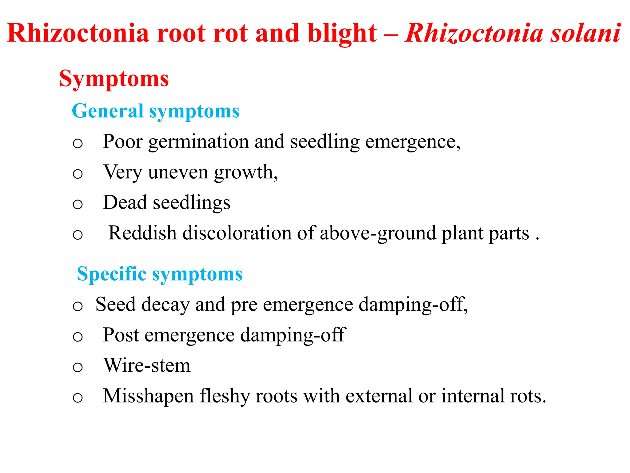 Beet root. Diseases management ,production pdf. | PPTX