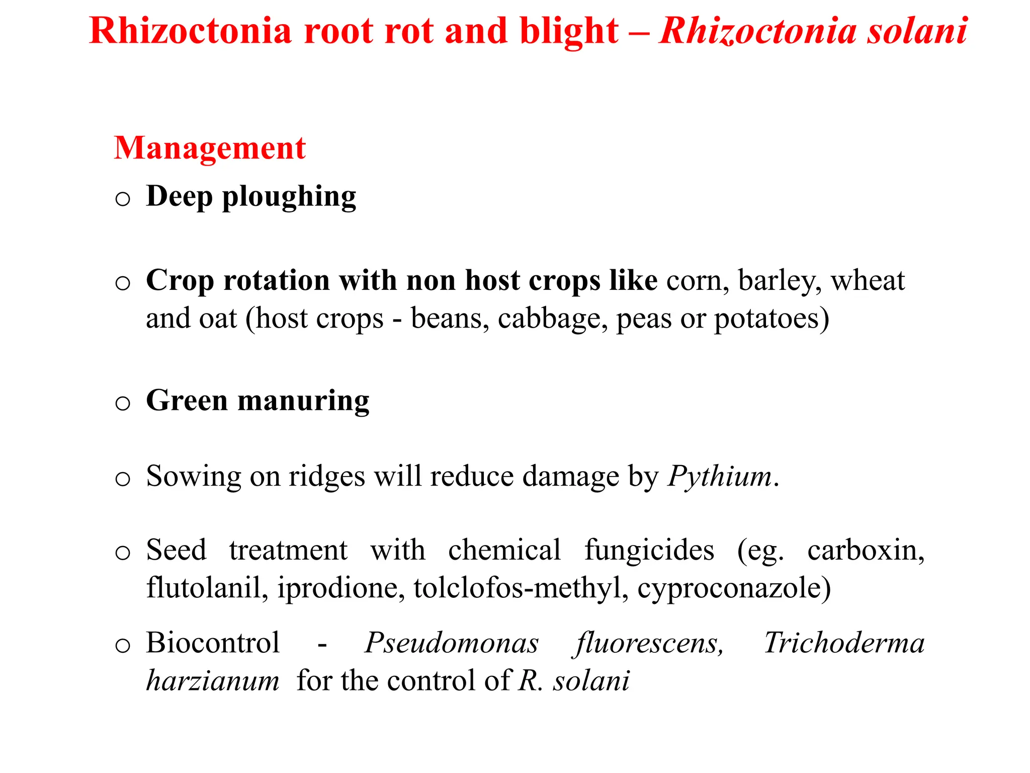 Beet root. Diseases management ,production pdf. | PPTX