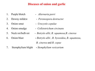 Diseases of onion and garlic
1. Purple blotch - Alternaria porri
2. Downy mildew - Peronospora destructor
3. Onion smut - Urocystis cepulae
4. Onion smudge - Colletotrichum circinans
5. Neck rot/bulb rot - Botrytis allii, B. squamosa,B. cinerea
6. Onion blast - Botrytis allii , B. byssoidea, B. squamosa,
B. cinerea and B. cepae
7. Stemphylium blight - Stemphylium vesicarium
 