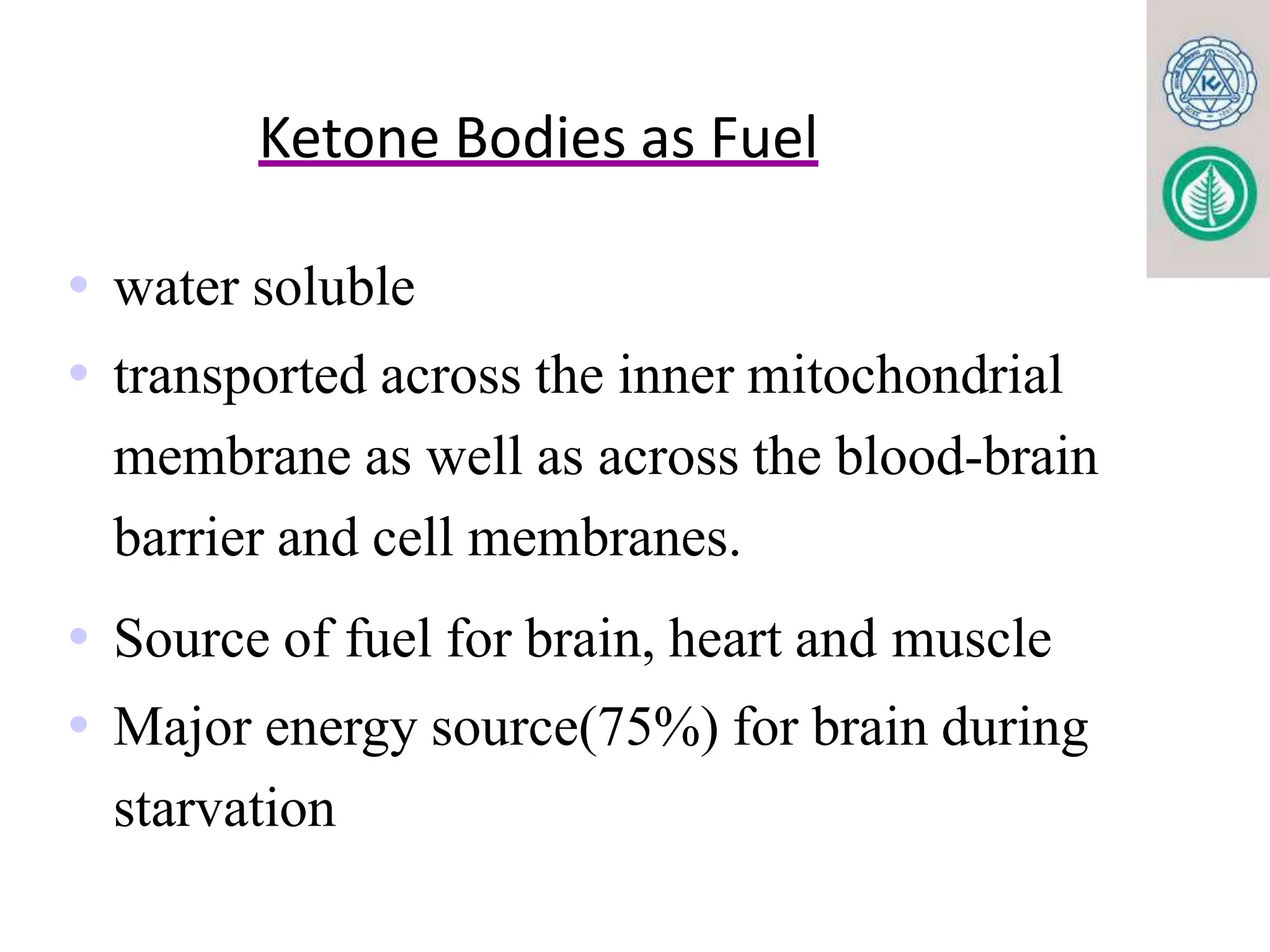 KETONE BODY METABOLISM. FOR MBBS, BDS, LABORATORY MEDICINE pptx | PPTX