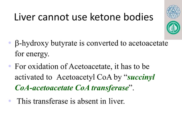 KETONE BODY METABOLISM. FOR MBBS, BDS, LABORATORY MEDICINE pptx | PPTX ...