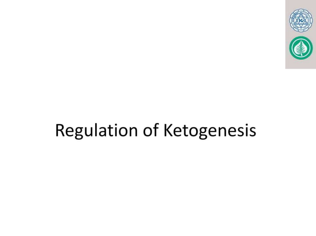 KETONE BODY METABOLISM. FOR MBBS, BDS, LABORATORY MEDICINE pptx | PPTX ...