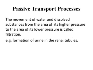 Passive Transport Processes
The movement of water and dissolved
substances from the area of its higher pressure
to the area of its lower pressure is called
filtration.
e.g. formation of urine in the renal tubules.
 