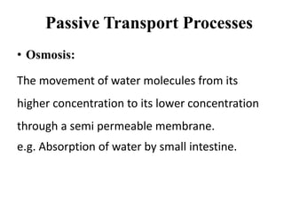 Passive Transport Processes
• Osmosis:
The movement of water molecules from its
higher concentration to its lower concentration
through a semi permeable membrane.
e.g. Absorption of water by small intestine.
 