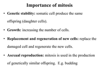 Importance of mitosis
• Genetic stability: somatic cell produce the same
offspring (daughter cells).
• Growth: increasing the number of cells.
• Replacement and regeneration of new cells: replace the
damaged cell and regenerate the new cells.
• Asexual reproduction: mitosis is used in the production
of genetically similar offspring. E.g. budding
 