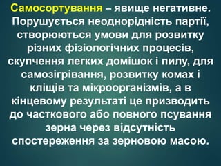 Самосортування – явище негативне.
Порушується неоднорідність партії,
створюються умови для розвитку
різних фізіологічних процесів,
скупчення легких домішок і пилу, для
самозігрівання, розвитку комах і
кліщів та мікроорганізмів, а в
кінцевому результаті це призводить
до часткового або повного псування
зерна через відсутність
спостереження за зерновою масою.
 