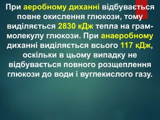 При аеробному диханні відбувається
повне окислення глюкози, тому
виділяється 2830 кДж тепла на грам-
молекулу глюкози. При анаеробному
диханні виділяється всього 117 кДж,
оскільки в цьому випадку не
відбувається повного розщеплення
глюкози до води і вуглекислого газу.
 