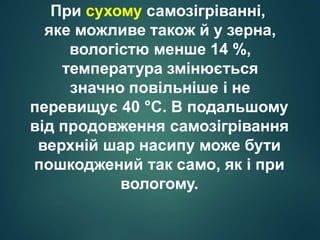 При сухому самозігріванні,
яке можливе також й у зерна,
вологістю менше 14 %,
температура змінюється
значно повільніше і не
перевищує 40 °С. В подальшому
від продовження самозігрівання
верхній шар насипу може бути
пошкоджений так само, як і при
вологому.
 