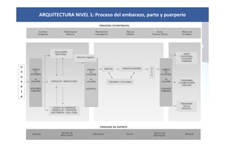 ARQUITECTURA NIVEL 1: Proceso del embarazo, parto y puerperio
 