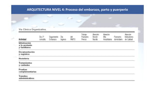 ARQUITECTURA NIVEL 4: Proceso del embarazo, parto y puerperio
 