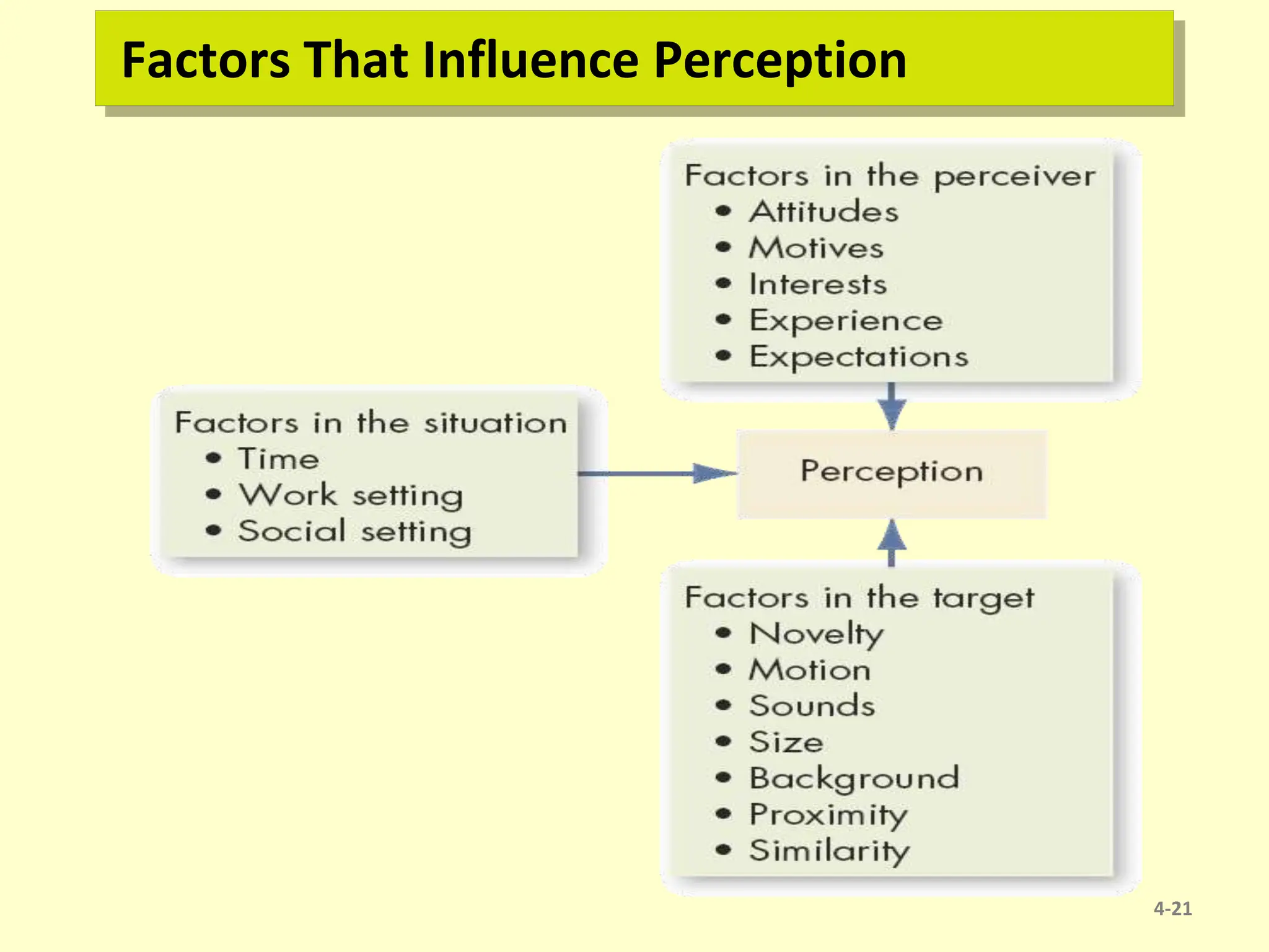 Factors That Influence Perception
4-21
 