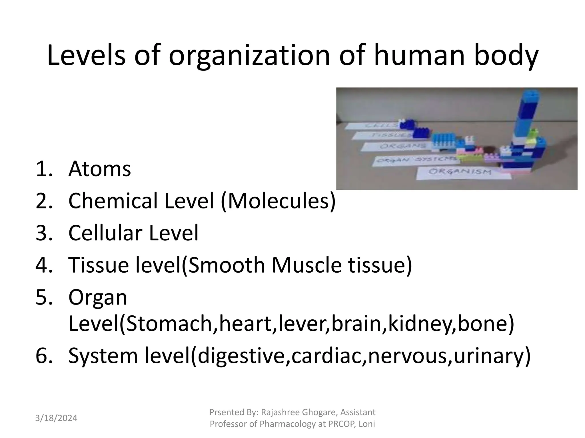 Levels of organization of human body
1. Atoms
2. Chemical Level (Molecules)
3. Cellular Level
4. Tissue level(Smooth Muscle tissue)
5. Organ
Level(Stomach,heart,lever,brain,kidney,bone)
6. System level(digestive,cardiac,nervous,urinary)
3/18/2024
Prsented By: Rajashree Ghogare, Assistant
Professor of Pharmacology at PRCOP, Loni