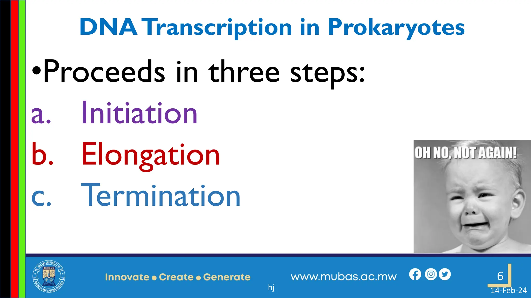 3. Transcription in Prokaryotes and Eukaryotes.pdf