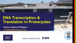 DNA Transcription &
Translation in Prokaryotes
Horace Juberry Chikagwa
hchikagwa@mubas.ac.mw
 