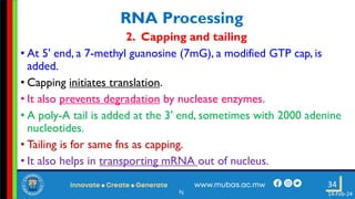 3. Transcription in Prokaryotes and Eukaryotes.pdf